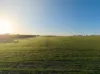 1074 Neve Road, Pingrup WA 6343-Image