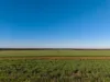 1074 Neve Road, Pingrup WA 6343-Image