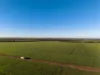 1074 Neve Road, Pingrup WA 6343-Image