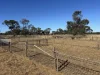 1095 Back Road, White Well Corner, SA 5690-Image