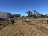 1095 Back Road, White Well Corner, SA 5690-Image