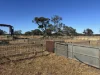 1095 Back Road, White Well Corner, SA 5690-Image