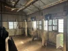 1095 Back Road, White Well Corner, SA 5690-Image