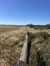 1095 Back Road, White Well Corner, SA 5690-Image