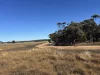 1095 Back Road, White Well Corner, SA 5690-Image