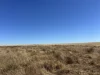 1095 Back Road, White Well Corner, SA 5690-Image