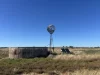 1095 Back Road, White Well Corner, SA 5690-Image