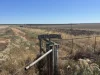 1095 Back Road, White Well Corner, SA 5690-Image
