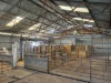 1095 Back Road, White Well Corner, SA 5690-Image