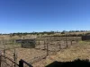 1095 Back Road, White Well Corner, SA 5690-Image