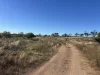 1095 Back Road, White Well Corner, SA 5690-Image