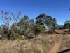 1095 Back Road, White Well Corner, SA 5690-Image