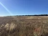 1095 Back Road, White Well Corner, SA 5690-Image