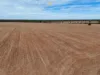 1098 Merimborough Lane, Pilliga, NSW 2388-Image