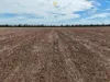 1098 Merimborough Lane, Pilliga, NSW 2388-Image