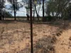 1098 Merimborough Lane, Pilliga, NSW 2388-Image