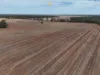 1098 Merimborough Lane, Pilliga, NSW 2388-Image