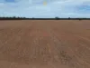 1098 Merimborough Lane, Pilliga, NSW 2388-Image