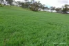 10986 Great Northern Highway, New Norcia, WA 6509-Image