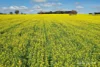 10986 Great Northern Highway, New Norcia, WA 6509-Image