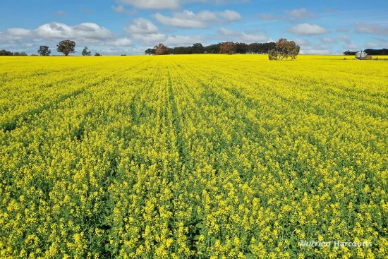 10986 Great Northern Highway, New Norcia, WA 6509-Image