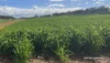 10986 Great Northern Highway, New Norcia, WA 6509-Image