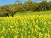 10986 Great Northern Highway, New Norcia, WA 6509-Image