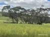 10986 Great Northern Highway, New Norcia, WA 6509-Image
