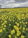 10986 Great Northern Highway, New Norcia, WA 6509-Image