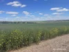 10986 Great Northern Highway, New Norcia, WA 6509-Image