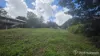 11 Mazama Court, Tamborine Mountain, Qld 4272-Image