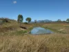 11 Nevada Road, Guthalungra, Qld 4805-Image