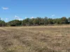11 Nevada Road, Guthalungra, Qld 4805-Image