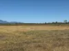 11 Nevada Road, Guthalungra, Qld 4805-Image