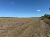 11 Nevada Road, Guthalungra, Qld 4805-Image