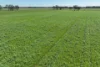110 Reillys Pit Road, Wunghnu, Vic 3635-Image