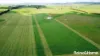 1131 Windellama Road, Goulburn, NSW 2580