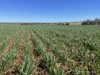 1141 Arrinooka Road, Canna, WA 6627-Image
