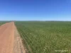 1141 Arrinooka Road, Canna, WA 6627-Image