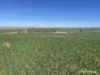 1141 Arrinooka Road, Canna, WA 6627-Image