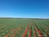 1141 Arrinooka Road, Canna, WA 6627-Image