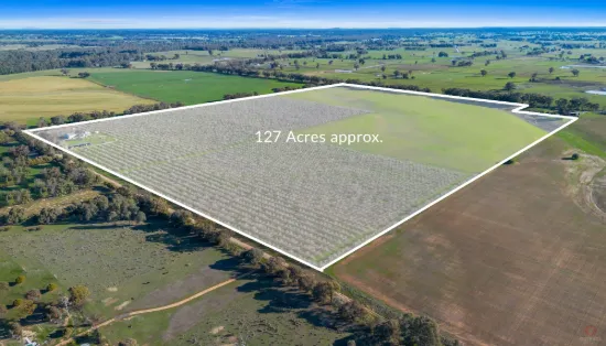 1160 River road, Toolamba, Vic 3614