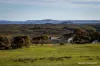 1178 Merivale Road, Merivale, WA 6450-Image