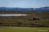1178 Merivale Road, Merivale, WA 6450-Image