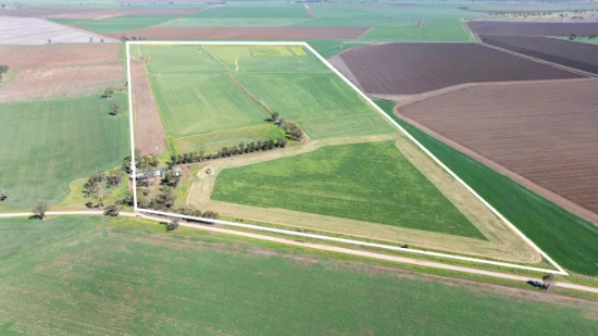 126 Merrigle Lane, Boggabri NSW 2382-Image