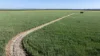 126 Merrigle Lane, Boggabri NSW 2382-Image