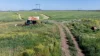 126 Merrigle Lane, Boggabri NSW 2382-Image