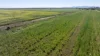 126 Merrigle Lane, Boggabri NSW 2382-Image
