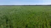 126 Merrigle Lane, Boggabri NSW 2382-Image