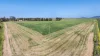126 Merrigle Lane, Boggabri NSW 2382-Image
